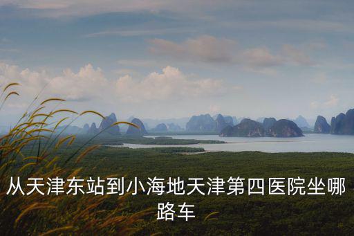 天津市第四醫院公交，從天津東站到小海地天津第四醫院坐哪路車