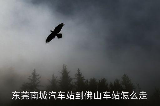 東莞南城汽車站到佛山車站怎么走