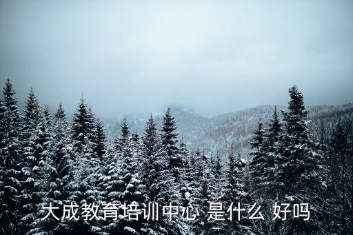 大成教育培訓中心 是什么 好嗎