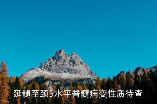 天津市總醫(yī)院神經(jīng)外科江主任，延髓至頸5水平脊髓病變性質(zhì)待查
