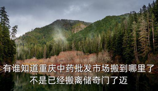 有誰知道重慶中藥批發(fā)市場搬到哪里了不是已經(jīng)搬離儲奇門了邁