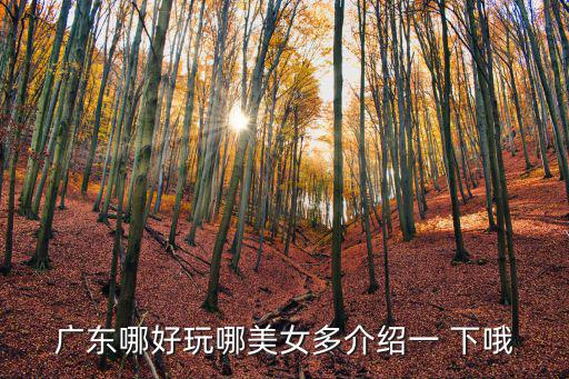 廣東哪好玩哪美女多介紹一 下哦
