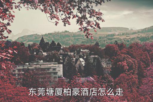 東莞塘廈柏豪酒店怎么走