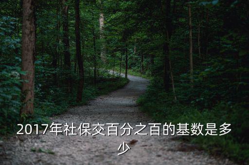 2017年社保交百分之百的基數(shù)是多少