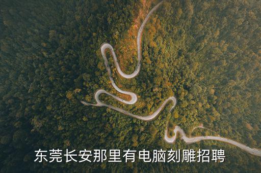 東莞長(zhǎng)安那里有電腦刻雕招聘