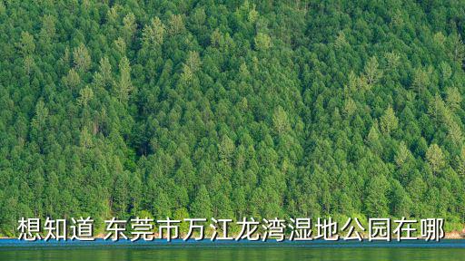 想知道 東莞市萬江龍灣濕地公園在哪