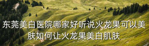 東莞美白醫院哪家好聽說火龍果可以美膚如何讓火龍果美白肌膚