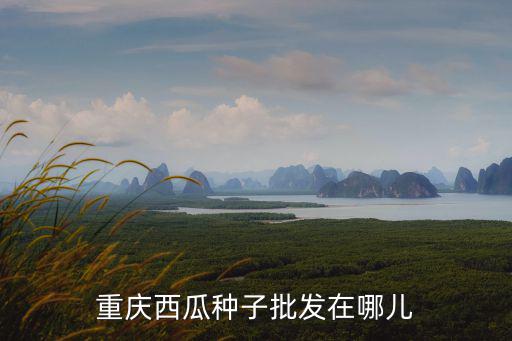 重慶市種業公司，重慶市種子公司在什么地方