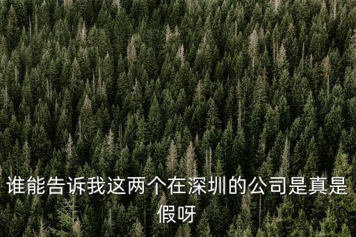 深圳市瑞和信科技有限公司，在深圳市寶安區沙井街道洪田路有一家專門生產和銷售手機金屬護套