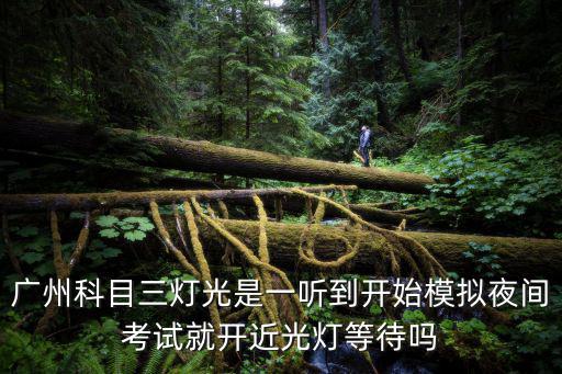 廣州科目三燈光是一聽(tīng)到開(kāi)始模擬夜間考試就開(kāi)近光燈等待嗎