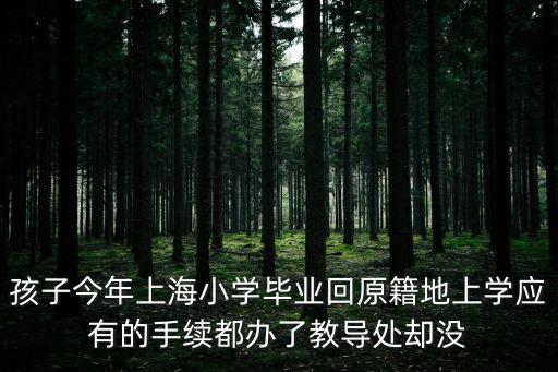 孩子今年上海小學(xué)畢業(yè)回原籍地上學(xué)應(yīng)有的手續(xù)都辦了教導(dǎo)處卻沒
