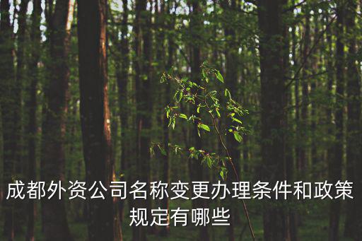 成都外資公司名稱變更辦理條件和政策規定有哪些