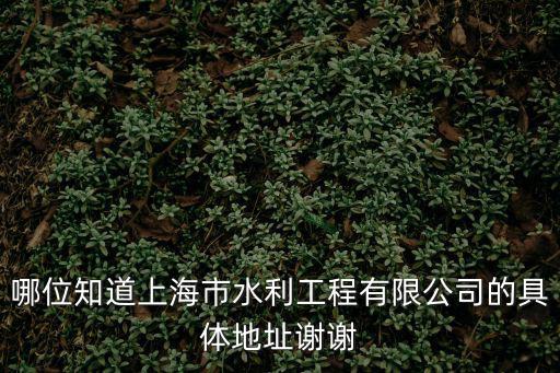 上海市政水利工程有限公司，上海市水利集團建設有限公司在浦東新區臨港東灘貨運儲備中心  搜