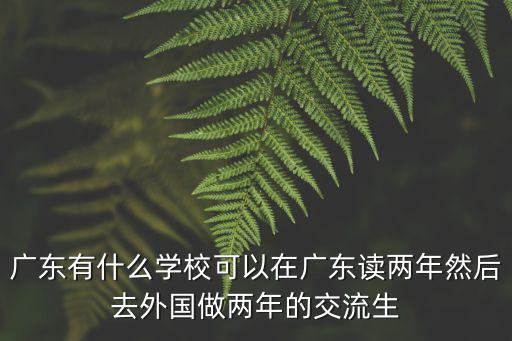 廣東有什么學校可以在廣東讀兩年然后去外國做兩年的交流生