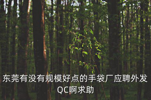 東莞有沒有規模好點的手袋廠應聘外發QC啊求助