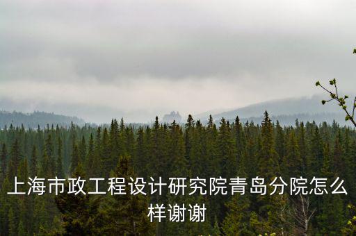上海市政設(shè)計院青島，上海市政青島分院待遇怎么樣不知發(fā)展空間怎么樣