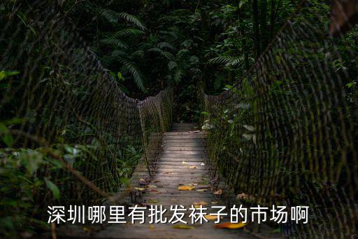深圳哪里有批發襪子的市場啊