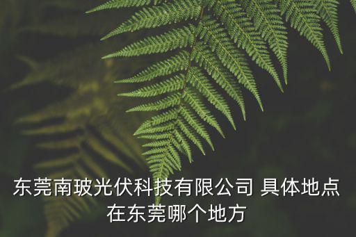 東莞南玻光伏科技有限公司 具體地點在東莞哪個地方