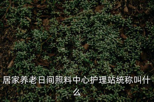 天津市日間照料中心，居家養(yǎng)老日間照料中心護(hù)理站統(tǒng)稱叫什么