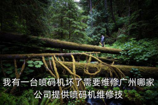 廣州唐亞噴碼設備，廣州噴碼機品牌主要有那些呢