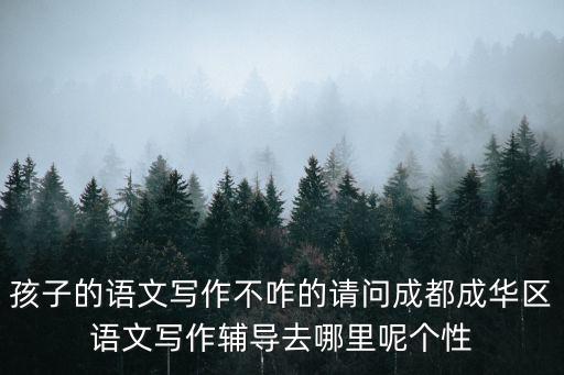 孩子的語文寫作不咋的請問成都成華區語文寫作輔導去哪里呢個性