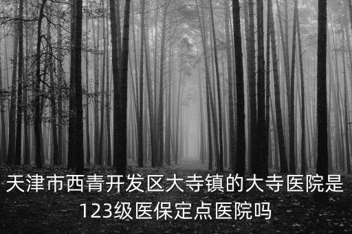 天津市西青開發區大寺鎮的大寺醫院是123級醫保定點醫院嗎