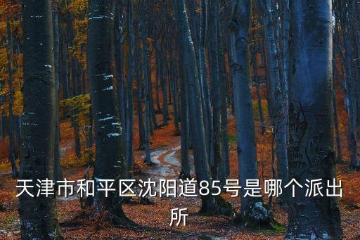 天津市和平區沈陽道85號是哪個派出所
