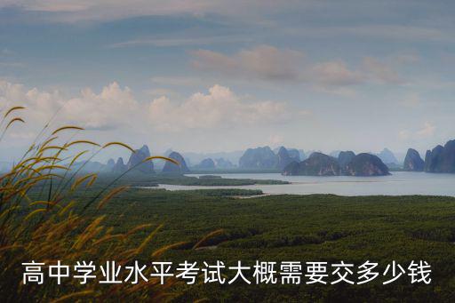 高中學業水平考試大概需要交多少錢