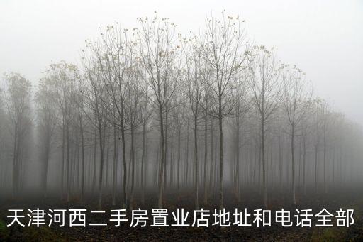 天津市森淼二手房，去天津市河西區平山道森淼公寓從哪站下最近