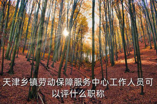 天津市衛生級職稱目錄，天津鄉鎮勞動保障服務中心工作人員可以評什么職稱