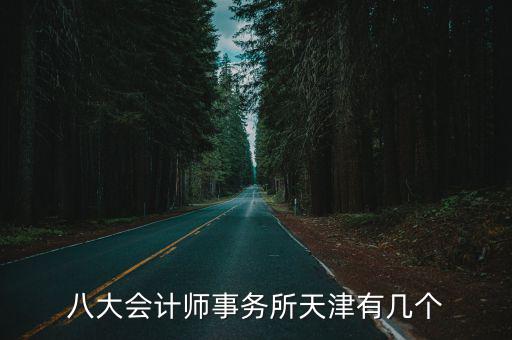 八大會計師事務(wù)所天津有幾個
