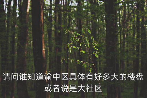 重慶市渝中區(qū)比較老的社區(qū)，渝中區(qū)老區(qū)府在較場口和平路的什么位置啊