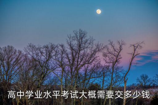天津市高中學業水平考試物理答案，高中學業水平考試大概需要交多少錢