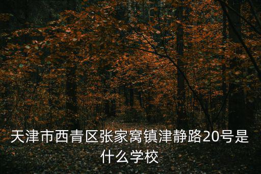 天津市西青區(qū)張家窩鎮(zhèn)津靜路20號是什么學校