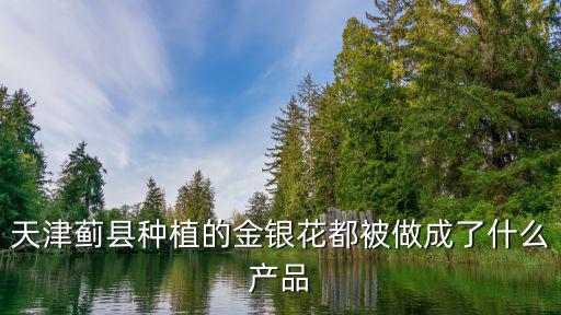 天津薊縣種植的金銀花都被做成了什么產(chǎn)品