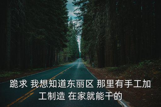 跪求 我想知道東麗區(qū) 那里有手工加工制造 在家就能干的
