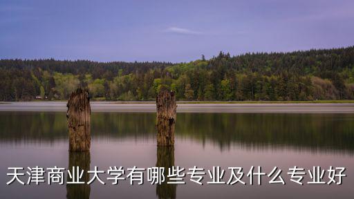 天津商業(yè)大學有哪些專業(yè)及什么專業(yè)好