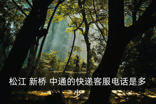 松江 新橋 中通的快遞客服電話是多少