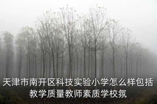 天津市南開(kāi)區(qū)科技實(shí)驗(yàn)小學(xué)怎么樣包括教學(xué)質(zhì)量教師素質(zhì)學(xué)校氛