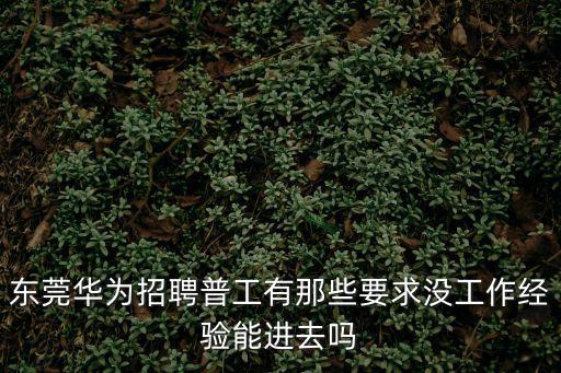 東莞華為招聘普工有那些要求沒工作經驗能進去嗎