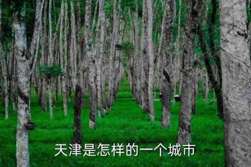 天津是怎樣的一個城市