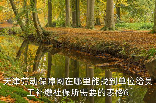 天津勞動(dòng)保障網(wǎng)在哪里能找到單位給員工補(bǔ)繳社保所需要的表格6