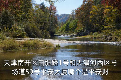 天津南開區(qū)白堤路1號和天津河西區(qū)馬場道59號平安大廈哪個(gè)是平安財(cái)