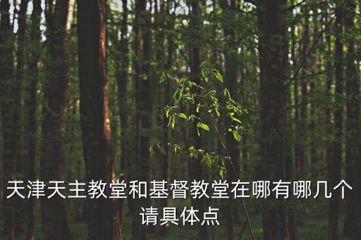 天津天主教堂和基督教堂在哪有哪幾個請具體點