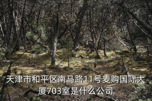 天津市和平區南馬路11號麥購國際大廈703室是什么公司