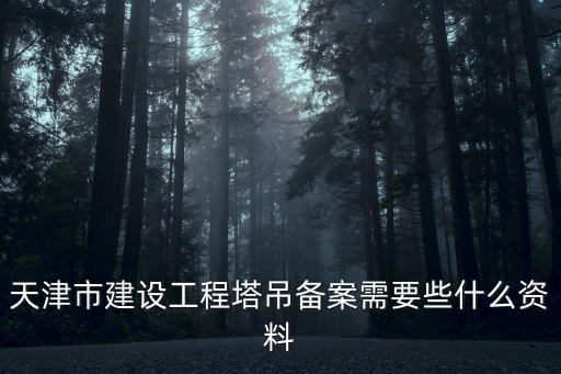天津市建設(shè)工程塔吊備案需要些什么資料