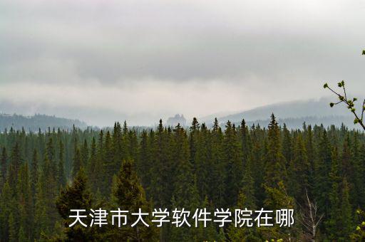 天津市大學軟件學院在哪