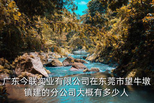 廣東今聯實業有限公司在東莞市望牛墩鎮建的分公司大概有多少人