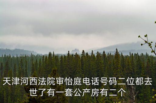 天津河西法院審怡庭電話(huà)號(hào)碼二位都去世了有一套公產(chǎn)房有二個(gè)