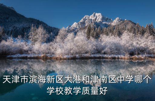 天津市濱海新區大港和津南區中學哪個學校教學質量好